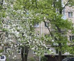 3-к. квартира, 53,8 м², 5/5 эт.