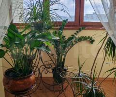 3-к. квартира, 114 м², 11/13 эт. - 5