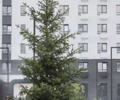 1-к. квартира, 36 м², 12/18 эт. - 5