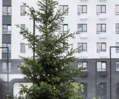 1-к. квартира, 47,3 м², 3/18 эт. - 4