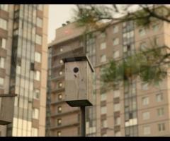 4-к. квартира, 111,6 м², 3/23 эт. - 2